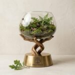 Rooted Realm Hand-Blown Glass Terrarium Bowl with Twisted Wood Branch Stand and Brass Base - Image 2